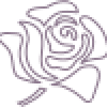flower1.png