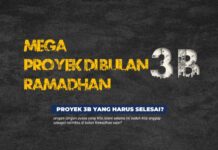 megaproyek